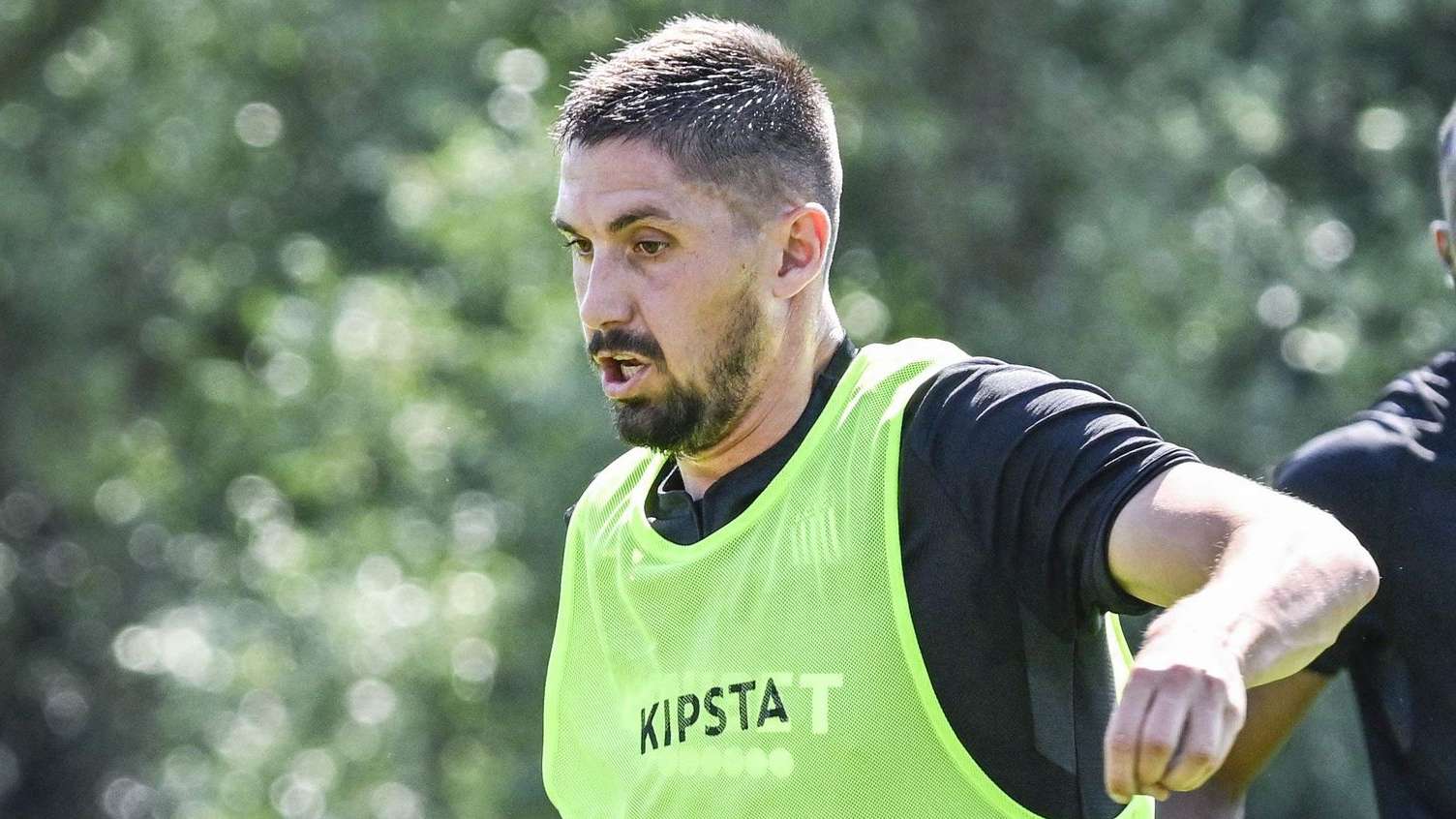 尔西的未来 尔西的未来