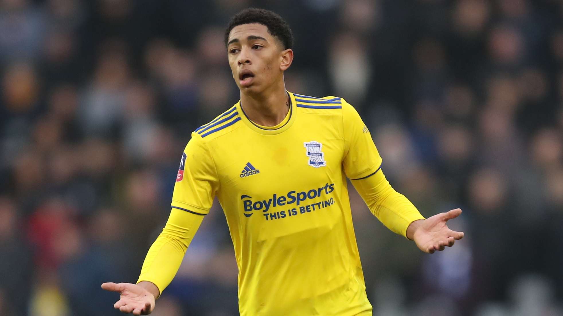 机制的影响 机制的影响